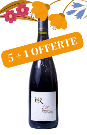 5+1 offerte Touraine Côt